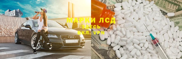 прущие крисы Гусев
