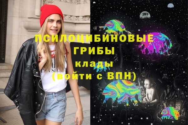 прущие крисы Гусев