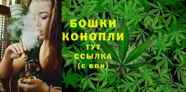 метадон Горняк