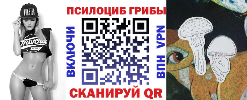 Купить закладки  Новокубанск  Галлюциногенные грибы Cubensis 